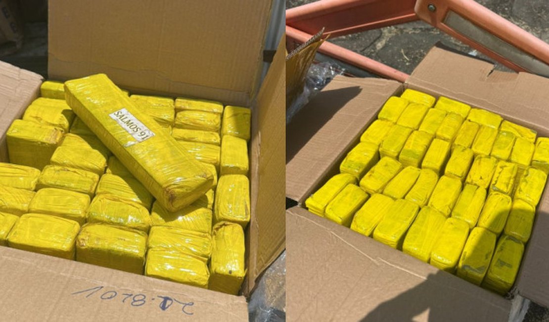 Apreensão de maconha em Alagoas chama atenção por referência bíblica em embalagens