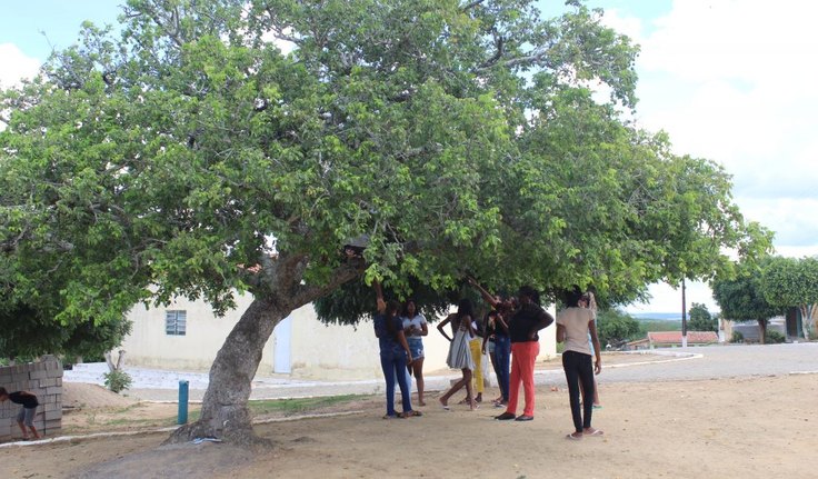 Decreto presidencial destina área para território quilombola, em Batalha