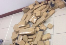 Operação integrada prende suspeito com 55 quilos de maconha na BR-101