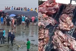 Vigilância Sanitária alerta que consumo da carne de baleia encalhada em Salvador pode trazer riscos à saúde