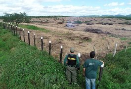 IMA registra aumento de quase 50% nos focos de queimadas anuais em Alagoas