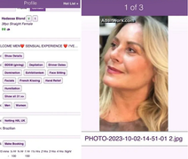 Imagem de Vera Fischer aparece em site pornô e defesa da atriz se pronuncia