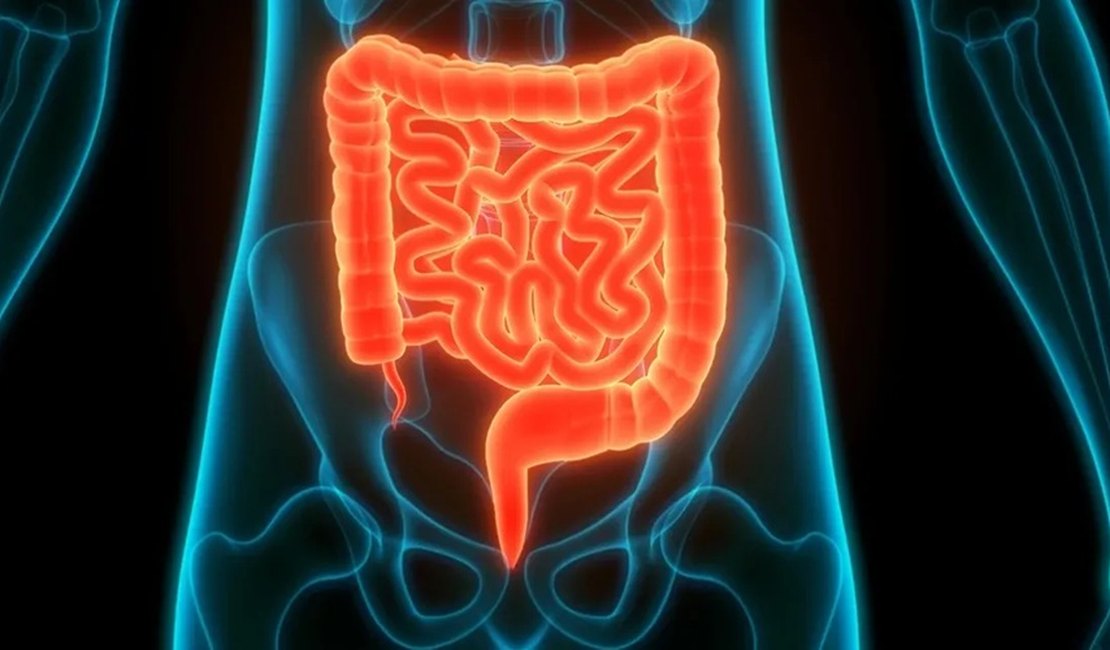 SUS passa a oferecer teste de fezes para rastrear câncer de intestino
