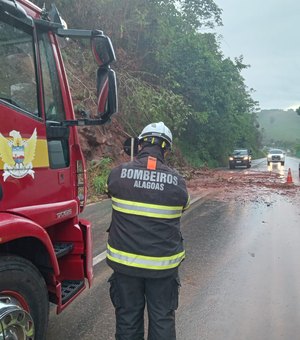 Árvore cai em rodovia no interior de AL após deslizamento de terra em encosta