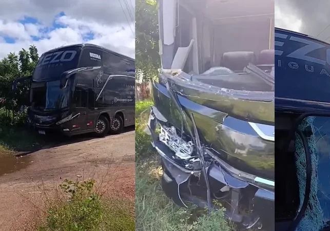 Ônibus do cantor Zezo atropela cavalo na BR-230, na Paraíba