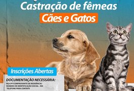 Complexo Tarcizo Freire abre inscrições para castração de cães e gatos