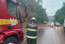 Árvore cai em rodovia no interior de AL após deslizamento de terra em encosta