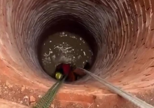 VÍDEO: Bezerro cai em poço e é resgatado por bombeiros na zona rural de Feira Grande