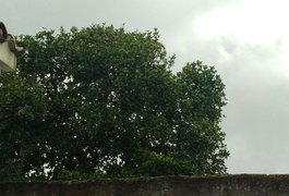 Jovem que ameaça pular de jaqueira diz que descerá quando não houver mais ninguém no local