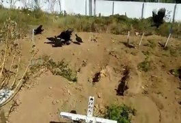 IML vai sepultar indigentes em Arapiraca por falta de cemitério em Maceió