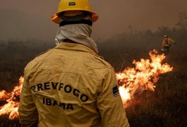 Ibama publica cinco editais de concursos com mais de 1.300 vagas em 16 estados; saiba mais