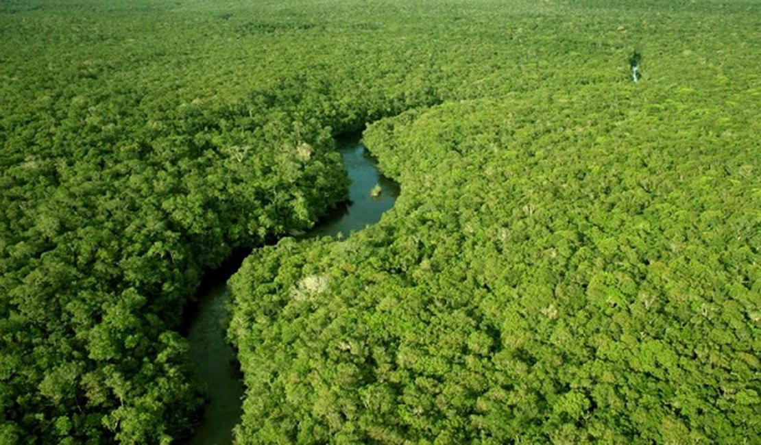 Governo publica hoje novo decreto sobre fim de reserva na Amazônia, diz ministro