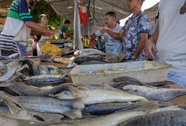 Ainda não comprou? Descubra o preço dos peixes e bons locais para comprá-los em Arapiraca nesta Páscoa