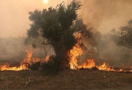 Incêndios se espalham por Grécia, Espanha e Itália