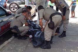 Alagoas é o estado com mais mortes por arma de fogo, aponta pesquisa