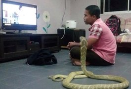 Homem se casa com cobra por acreditar que seria reencarnação de namorada