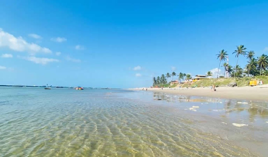 Top 5: conheça as melhores praias de Alagoas