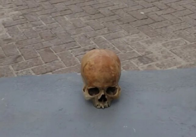 Crânio humano é encontrado boiando na Praia de Pajuçara, em Maceió