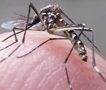 Planos passam a cobrir exames de dengue e chikungunya
