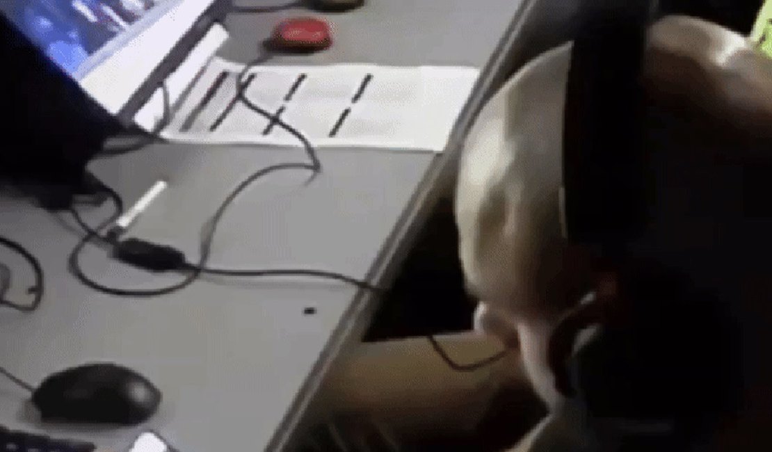 Operador do VAR é afastado após ser flagrado visitando site de apostas durante jogo na Bulgária