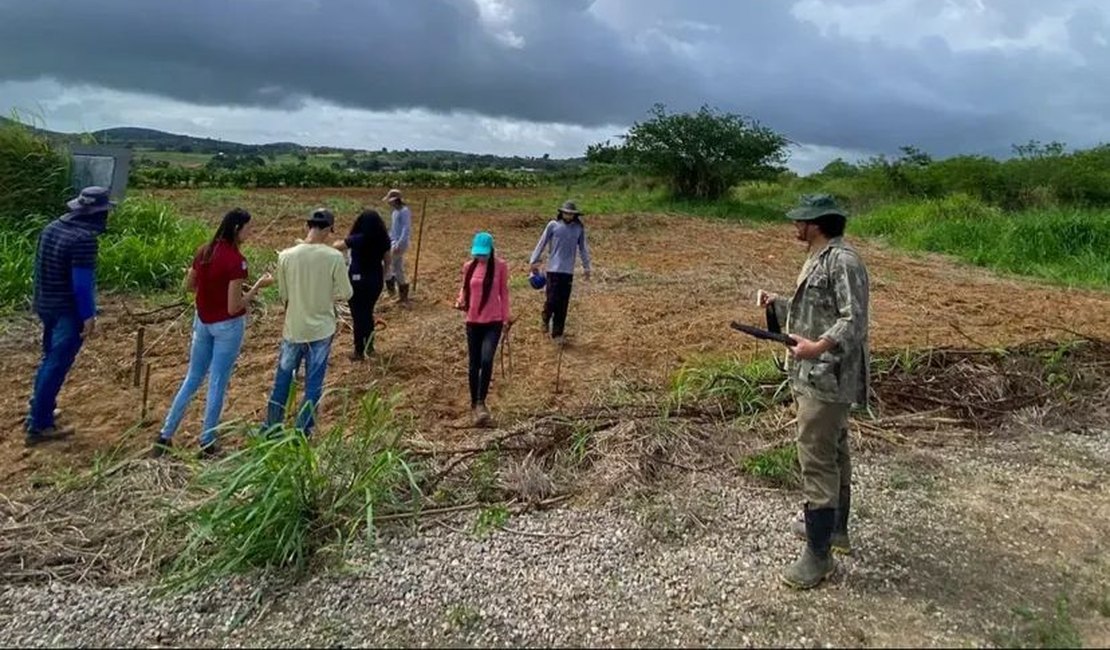 Sistema Agroflorestal em Arapiraca fortalece produção sustentável