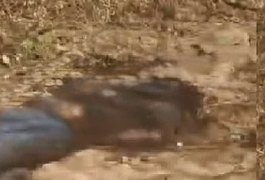 Corpo encontrado em Igaci pode ser de jovem desaparecido em Craíbas