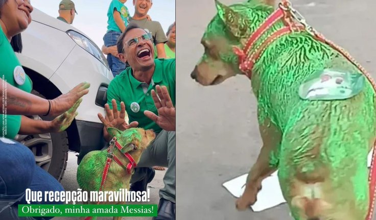 Cão pintado durante campanha de Marcos Silva em Messias gera indignação pública; assista