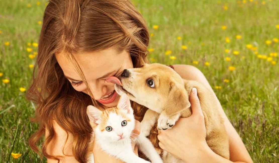 Veja quatro doenças que humanos e animais de estimação têm em comum