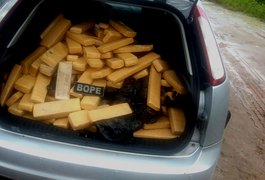 BOPE apreende 200kg de maconha em Rio Largo, na manhã desta sexta (21)