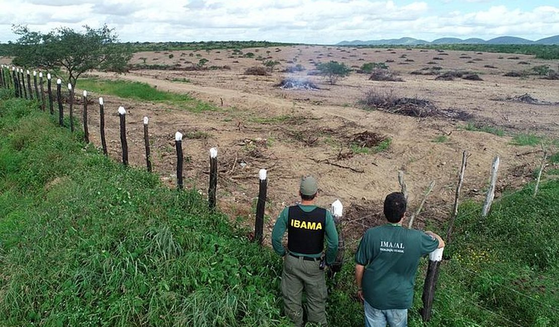 IMA registra aumento de quase 50% nos focos de queimadas anuais em Alagoas
