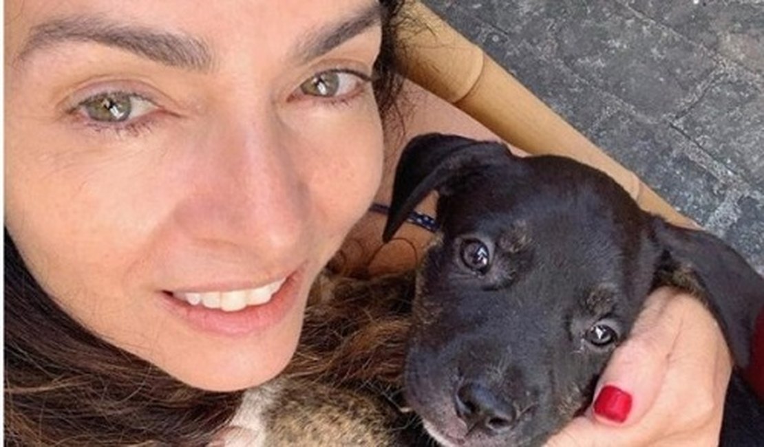 Claudia Ohana revolta web após devolver cachorros para ONG
