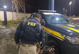 Homem é preso em Alagoas com motocicleta roubada em Pernambuco