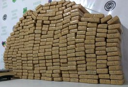 Polícias de Alagoas e Sergipe apreendem mais de 200 quilos de maconha