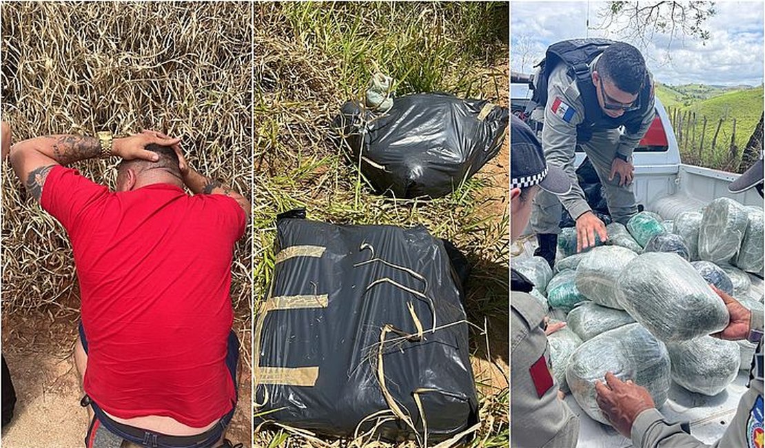 Polícia apreende 32 kg de maconha que seria comercializada em Alagoas e prende três