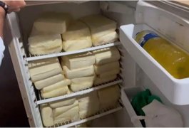 Vigilância interdita pastelaria na Levada, em Maceió, e apreende 116 kg de queijo