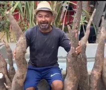 Pedreiro chama atenção ao colher pé de macaxeira com mais de 89kg em São Miguel dos Campos