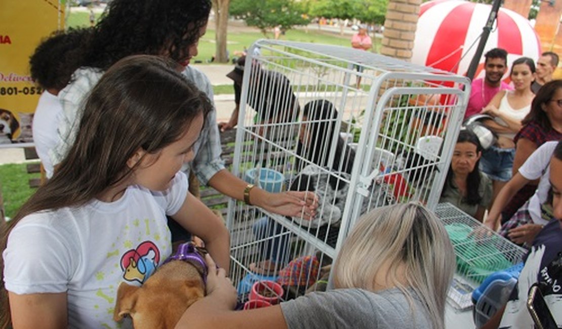 Feira de adoção de animais acontece no #VemProBosque deste domingo