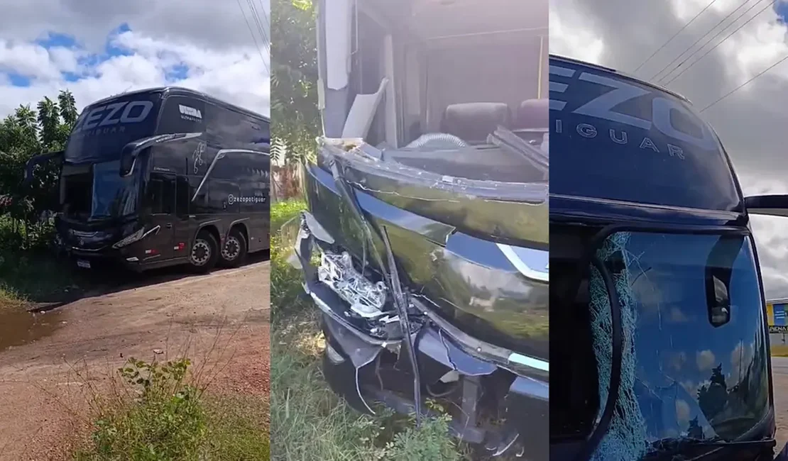 Ônibus do cantor Zezo atropela cavalo na BR-230, na Paraíba
