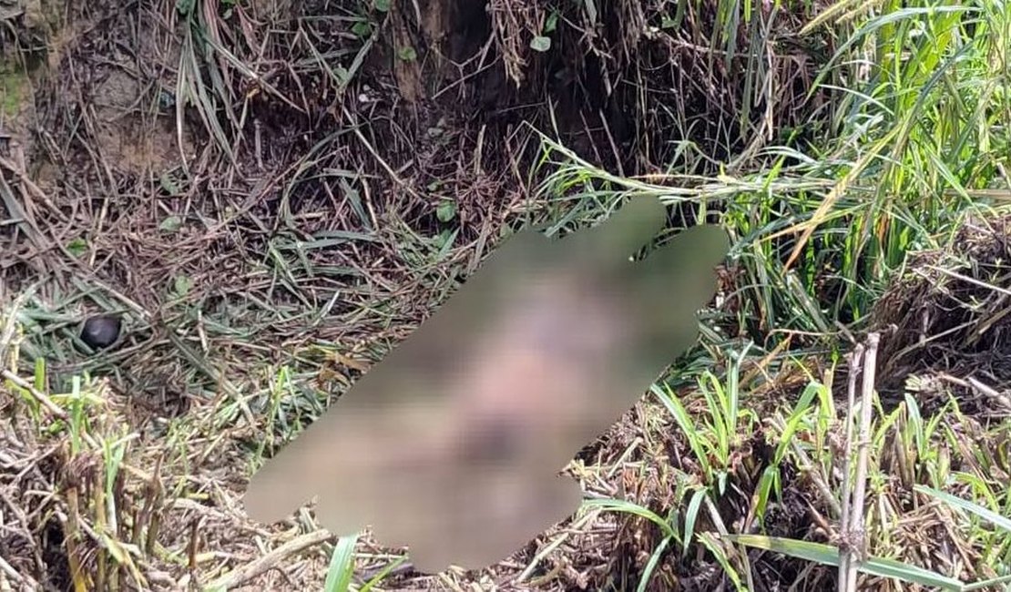 Homem encontrado morto com cerca de 40 facadas em Rio Largo é identificado pela Polícia Civil
