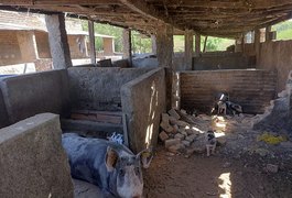 Matadouro clandestino é embargado e multado em mais de R$ 120 mil por equipe da FPI