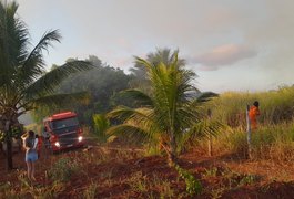 Incêndio em vegetação atinge uma casa e deixa outra em risco, às margens da AL 110