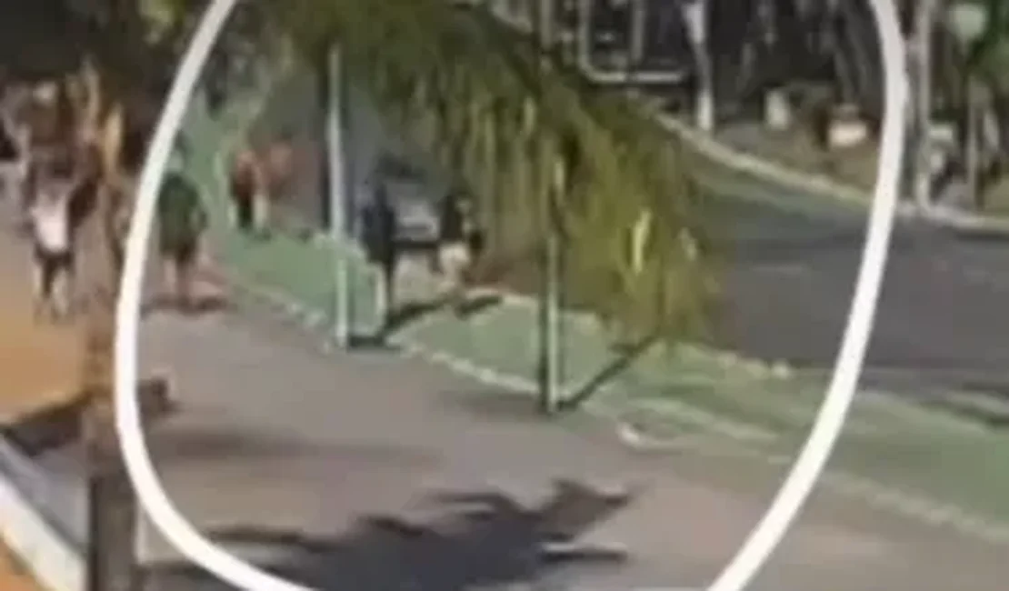 Polícia tenta identificar motorista que invadiu faixa verde na orla de Maceió e atropelou corredora