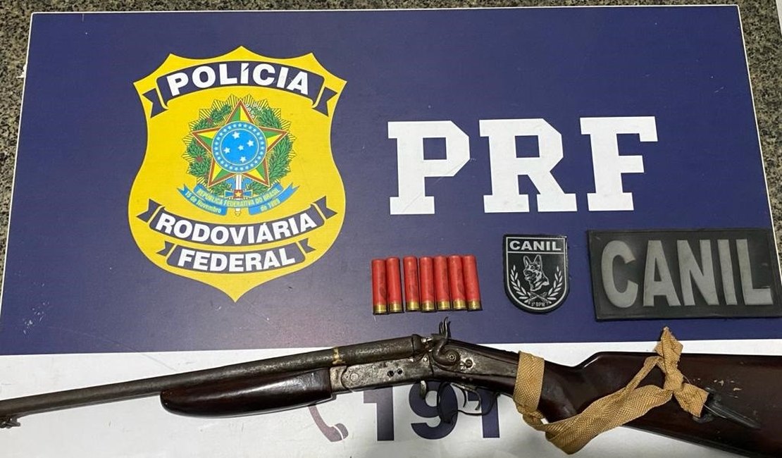 Canil do 3° BPM e PRF apreendem espingarda em ônibus clandestino em São Sebastião