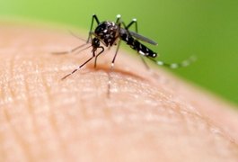 Em um ano, incidência da dengue no país aumenta 600%