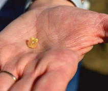 Aposentada encontra diamante de 4 quilates em parque dos EUA