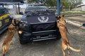 Cão farejador da PM localiza 17 kg de maconha em ônibus na BR-101, em São Sebastião