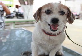 Veterinários fazem atendimento gratuito e dão vacinas