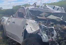 Delegado sofre acidente na AL-220 após desviar de animal na pista