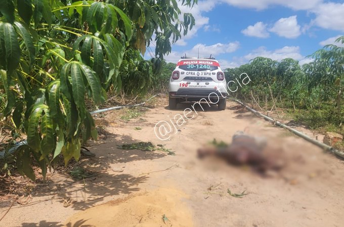 Homem é morto com tijoladas na cabeça em plantação de macaxeira em Arapiraca