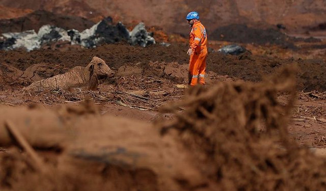 Cinco suspeitos de envolvimento em tragédia de Brumadinho são presos